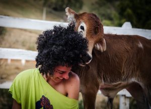 O que aprendi ao resgatar animais