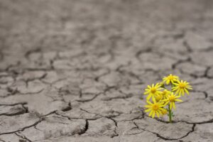 Resiliência: isto é bom ou ruim?