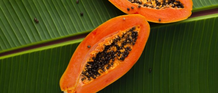 mamão papaya frutas