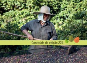 CALEIDOSCÓPIO – A pureza do café