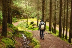 homem-caminhando-na-natureza-scaled.jpg