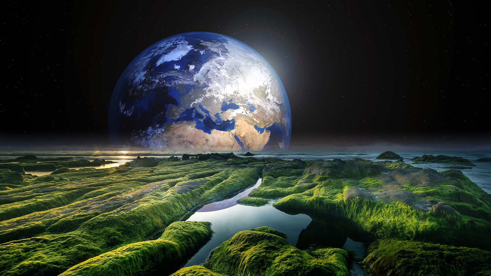 Mundo Positivo » Dia da Terra: questionário do Google diz qual
