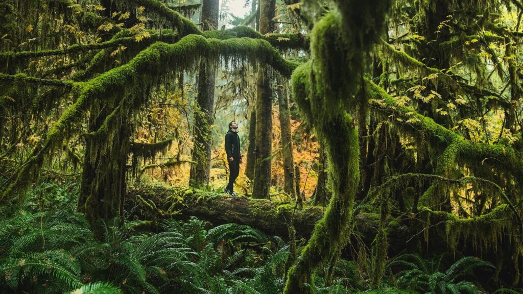 Qual a relação entre as masculinidades e a crise climática?