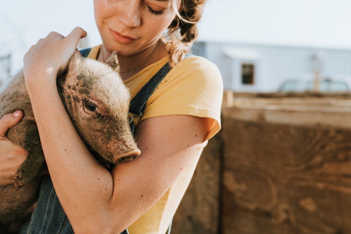 Vegan pelos animais, pelo planeta, pela vida! <3