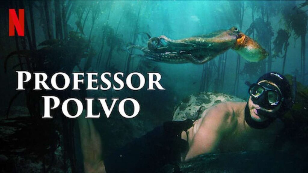 Capa de divulgação do documentário Professor Polvo, disponível na Netflix. 