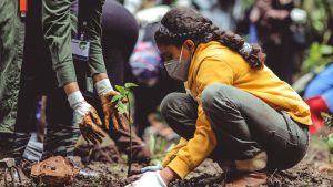 Dia do Combate à Poluição: Veja 6 iniciativas de sustentabilidade no Brasil