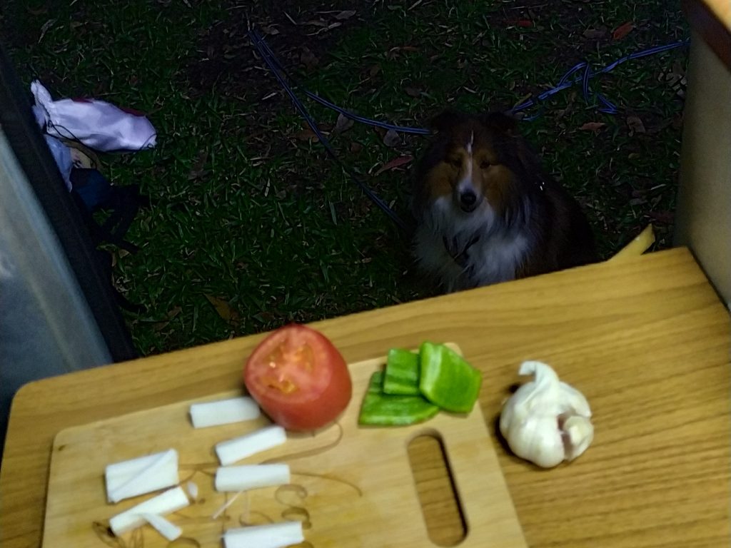 Imagem de uma tábua de madeira com tomate, alho e ao fundo a grama com um cachorro.