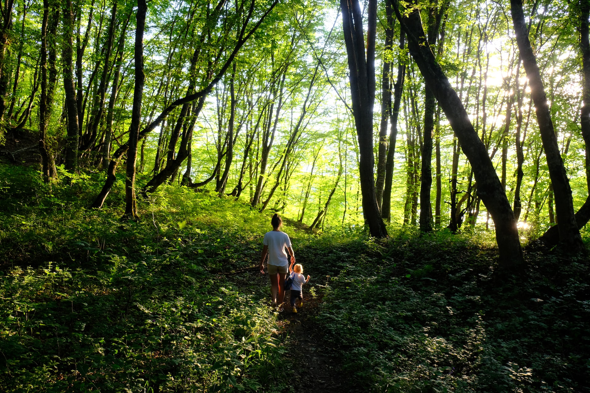 Conexão com a natureza: como somos impactados por essa relação? - Vida  Simples