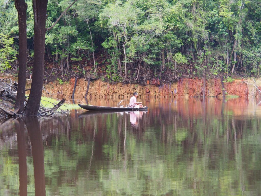 Minha avó jamais tentaria “salvar” a Amazônia