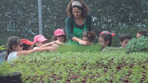 Projeto oferece educação ambiental para crianças em São Paulo