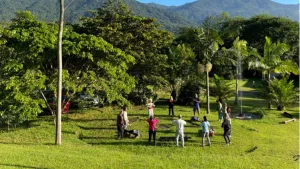 O que aprendi em um retiro de danças circulares?