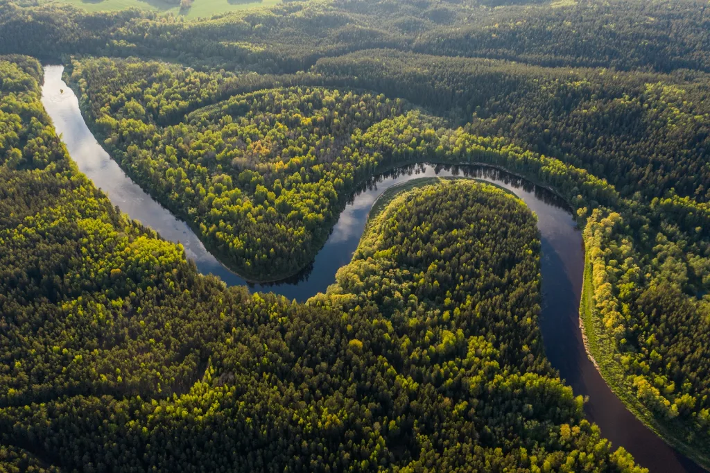 A Amazônia nos ensina a honrar a vida para viver bem