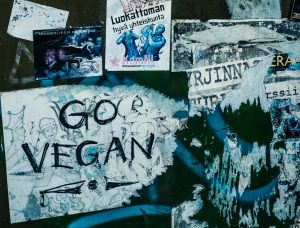Além do prato: entenda como o veganismo pode salvar o planeta
