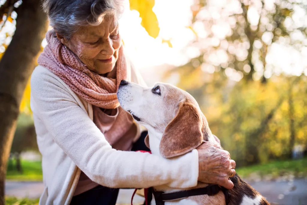 Pets e longevidade: os benefícios de ter um animal de estimação