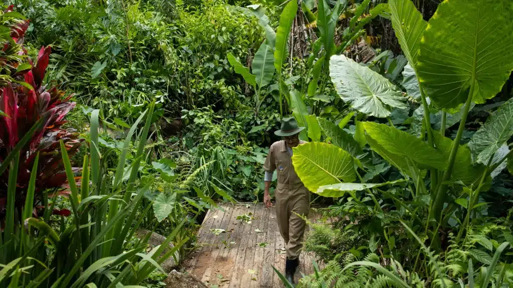 Paisagismo regenerativo: veja como ter jardins belos e sustentáveis