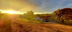 Vida no campo: o que a natureza nos ensina sobre ter paz