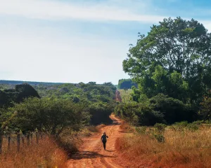 O que descobri ao percorrer os Caminhos de Rosa, no sertão de Minas Gerais