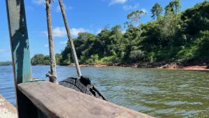 Amazonia Paraense, rio tocantins. Arquivo pessoal