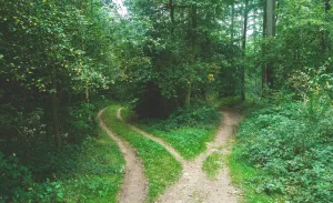 Como deixar a intuição florescer em sua vida