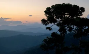 Um tour pelos sabores da Serra da Mantiqueira