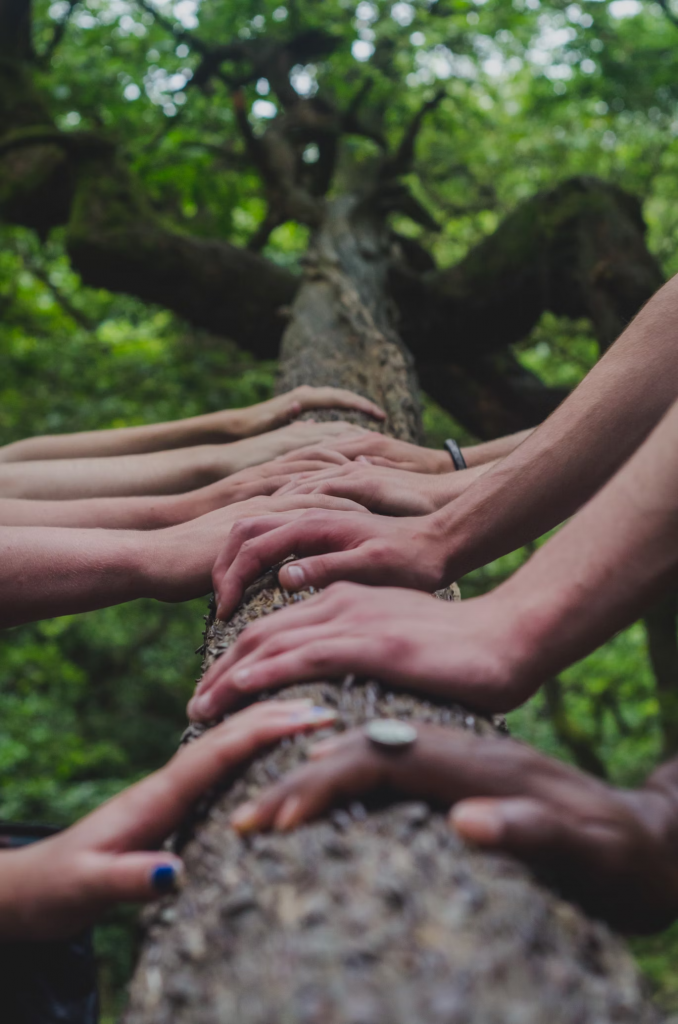 Para entender a emergência climática, é importante saber que somos natureza