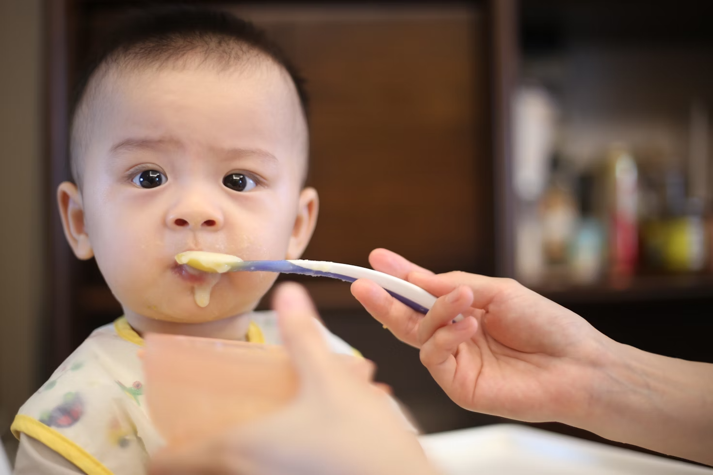 Introdução alimentar de bebês exige respeito com o tempo de cada um