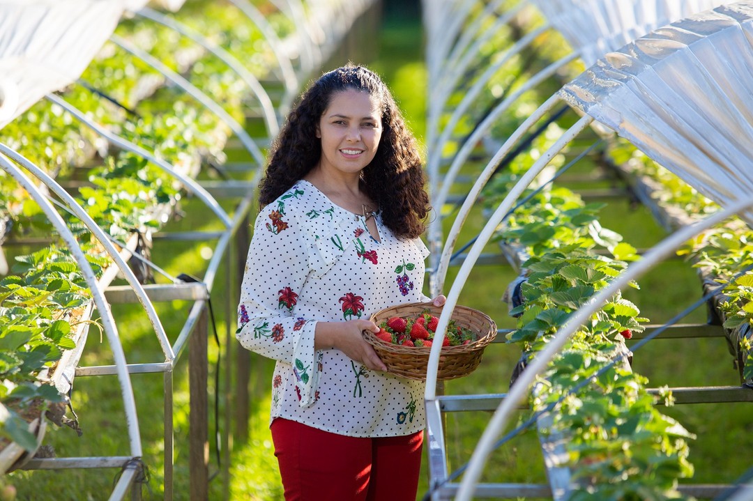 O que você deve considerar antes de se mudar para o campo