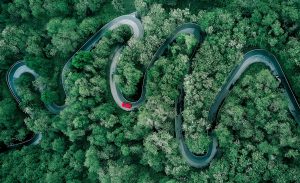 Entre as curvas do viver, recomeçar é tarefa constante