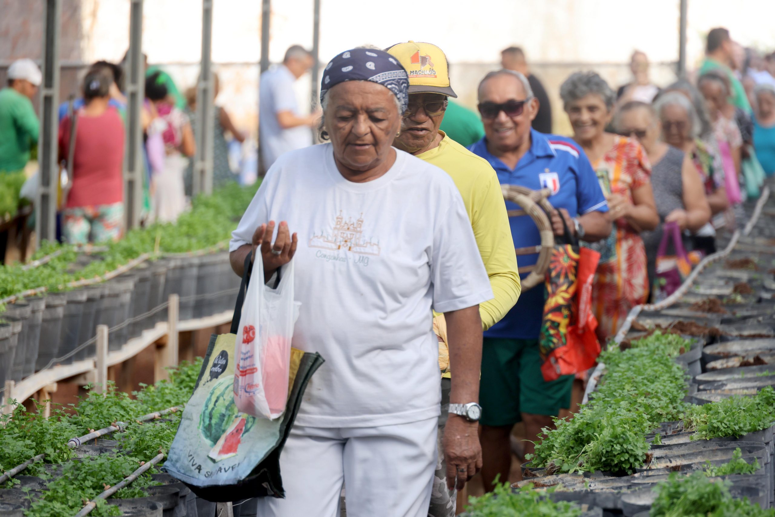 Pessoas caminham em fila indiana com sacolas no braço dentro de uma horta com estufa.