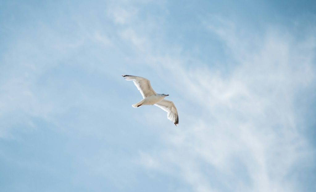 Entre olhares e sorrisos